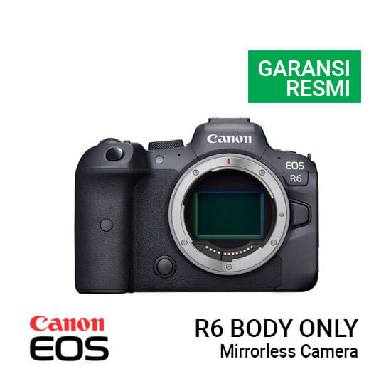 Canon EOS R6 Mirrorless Camera Body Only