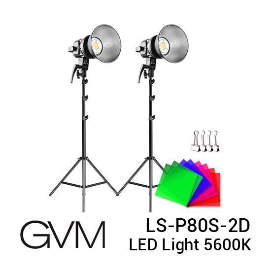 GVM LS-P80S-2D LED Light 5600K 2 Light Kit