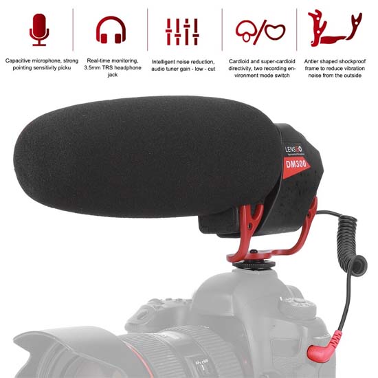 Lensgo LYM-DM300 Professional Cardioid Microphone - Gambar 2
