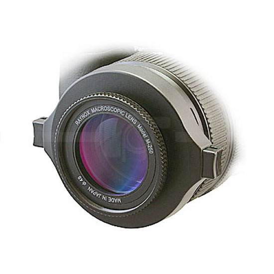 Raynox DCR-250 Super Macro lens Converter